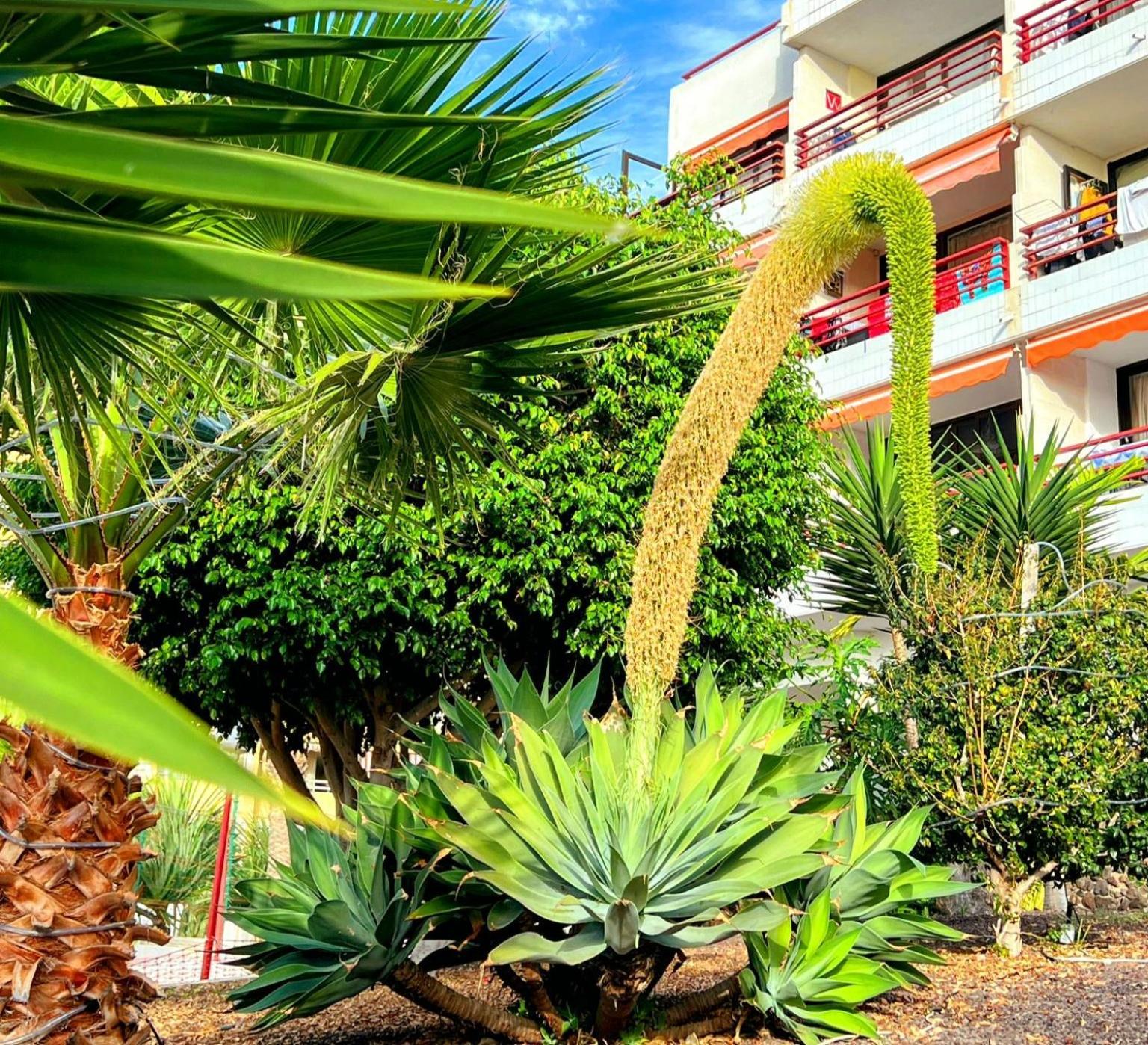 Apartment Paulmarie Olympia